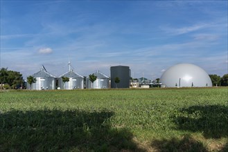 Biogas plant, storage silos, large buffer tank for hot water for intermediate energy storage,