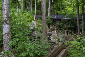 The Felsenmeer in Hemer, Sauerland, geotope, with rugged rock formations, nature reserve, North