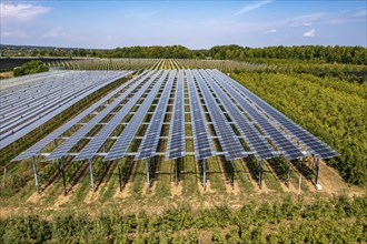 Agri-photovoltaic test plant, an apple orchard with two different systems of PV modules was roofed