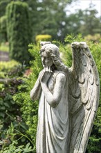 Cemetery, old gravestone, angel figure, North Rhine-Westphalia, Germany, Europe