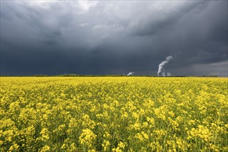 Neurath lignite-fired power station, near Grevenbroich, RWE Power AG, storm clouds over the Rhenish