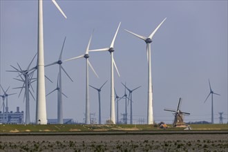 Westereems and Growind wind farms, over 80 wind turbines in total, at the Eemshaven seaport,