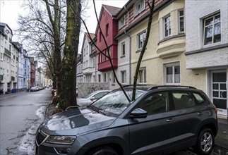 North Rhine-Westphalia, Germany, storm damage, a good 4 metre long branch was broken off by the