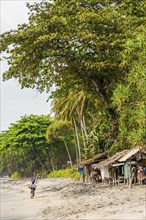 Merchant at Mangsit beach in Sengiggi, seller, palm beach, travel, tourism, sea, beach, water, palm