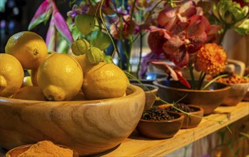 Artistic flower arrangements and decorations, German Floristry Championships, Berlin, Germany,