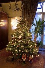 Europe, Germany, Christmas tree, Christmas tree in living room, Christmas, traditional tree