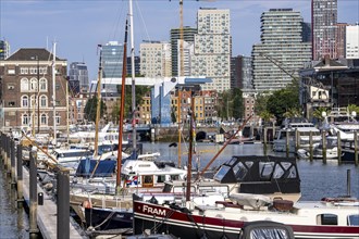 Rotterdam Marina, behind high-rise buildings in the Maritiem District on the other side of the