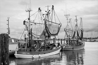 Crab cutter in the harbour, Greetsiel, East Frisia, Lower Saxony, Germany, Europe