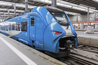 Siemens Mireo regional train from GoAhead at Munich Central Station, Germany, Europe