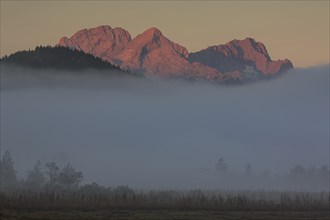 Fog over a lake in front of steep mountains in the morning light, autumn, view of Alpspitze and