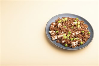 Quinoa porridge with green pea and chicken on ceramic plate on a pastel orange background. Side