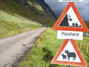 Mountain road from Haukland beach to Uttakleiv, warning signs, no public traffic, be aware of sheep