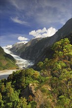 View from Sentinel Rock to Franz Josef Glacier, Westland National Park, South West New Zealand