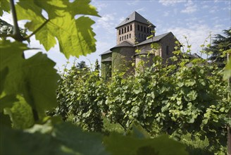 Johannisberg Monastery, Rheingau, Hesse, Germany, Europe