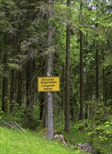 Yellow sign in the forest, ski area at the Götschen Alm, Bavaria, Germany, Europe