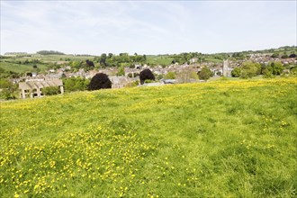 Summer landscape view over wildflower field to valley location town of Bruton, Somerset, England,