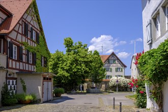 Ehrengutaplatz, Oberstadt, Bregenz, Vorarlberg, Austria, Europe