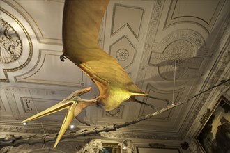 Model of a pterosaur (Pteranodon longieps), Natural History Museum, opened in 1889, Vienna,