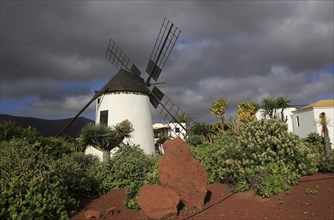 Windmill and garden at Centro de Artesania Molinos de Antigua, Fuerteventura, Canary Islands,