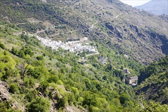 Landscape of the River Rio Poqueira gorge valley, High Alpujarras, Sierra Nevada, Granada Province,