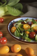 Vegetarian salad of pac choi cabbage, kiwi, tomatoes, kumquat, microgreen sprouts on a wooden