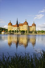 Moritzburg Castle, municipality of Moritzburg near Dresden, Saxony, Germany, Europe