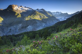 Fusshörner, Wannenhörner and Aletsch Glacier, Switzerland, Europe