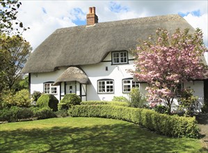 Pretty thatched country cottage and garden, Allington, Wiltshire, England, UK