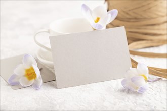 Gray paper invitation card, mockup with purple crocus snowdrop flowers on gray concrete background.