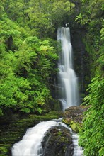 Mac Lean Falls, Catlins Forest Park, Otago, South Island New Zealand, Otago, South Island, New