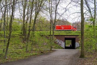 The Sterkrader Wald in Oberhausen, at the Oberhausen motorway junction, where the A2/A3A/A516 meet,