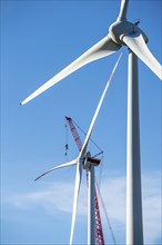 Assembly of a wind turbine, the last rotor blade is being mounted, mobile crane, wind turbine from