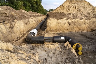 Laying of district heating pipes, next to a field, with maize, the district heating comes from a