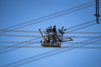 Construction of a new line route, 380 KV extra-high-voltage line between Osterath and Gohr, near