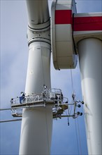 Maintenance work, repairs to a rotor of an Enercon wind turbine, in a wind farm east of Bad