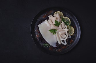 Fresh squid, raw, carcass, cut into rings, top view, no people