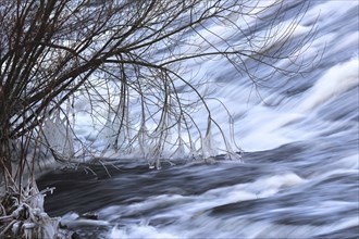 Winter, ice on a bush in a stream, long exposure, Germany, Europe