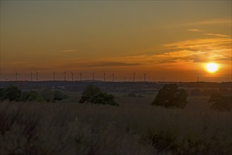 Wind turbines in the evening light, Schönberg, Mecklenburg-Vorpommern, Germany, Europe