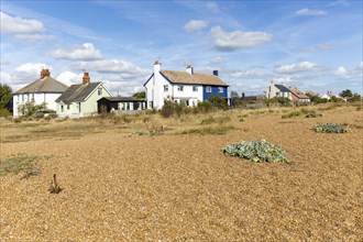 Houses in coastal hamlet of Shingle Street, Suffolk, England, UK