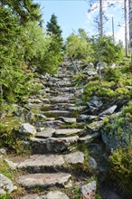 Stages on the hiking trail to Mount Lusen in late summer, Bavarian Forest, Bavaria, Germany, Europe