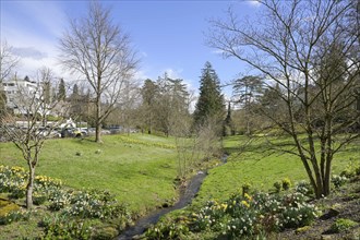 Schwarzbach, flower beds, park, Nerotal, Wiesbaden, Hesse, Germany, Europe