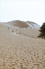 Dune landscape, Laguna de Huacachina oasis, Ica, Ica region, Ica province, Peru, South America