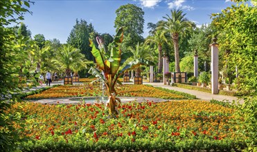 Palm garden in the spa gardens, the largest outdoor palm garden north of the Alps, spa town of Bad