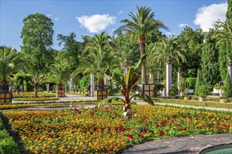 Palm garden in the spa gardens, the largest outdoor palm garden north of the Alps, spa town of Bad