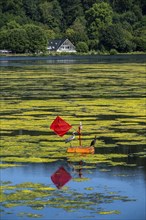 Buoy on the regatta course on Lake Baldeney, cormorant and heron hang out, the area is colonised by