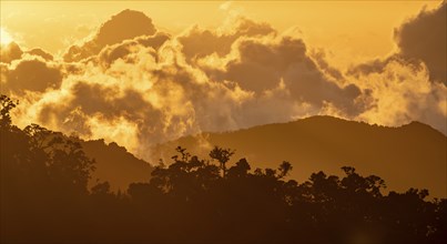 Evening mood, clouds over cloud forest, mountain rainforest, Parque Nacional Los Quetzales, Costa