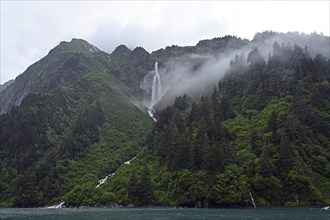 The Pacific rainforest clings to the steep mountain slopes from which mighty waterfalls flow down