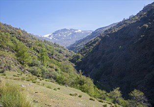 Landscape of the River Rio Poqueira gorge valley, High Alpujarras, Sierra Nevada, Granada Province,