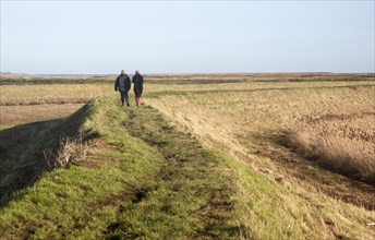 Two people walking on coastal defence wall at Shingle Street, Suffolk, England, United Kingdom,