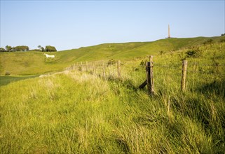 Scarp slope of White Horse on Cherhill Down and Lansdowne monument, Cherhill, Wiltshire, England,